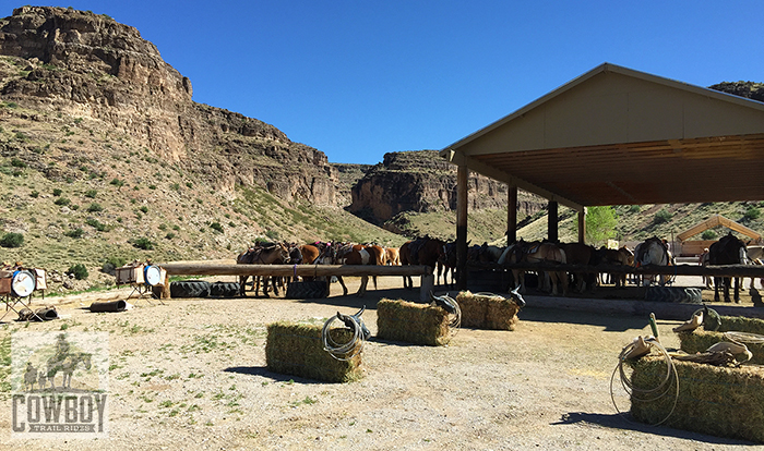 Ready to play cowboy games prior Horseback Riding in Las Vegas at Cowboy Trail Rides in Red Rock Canyon